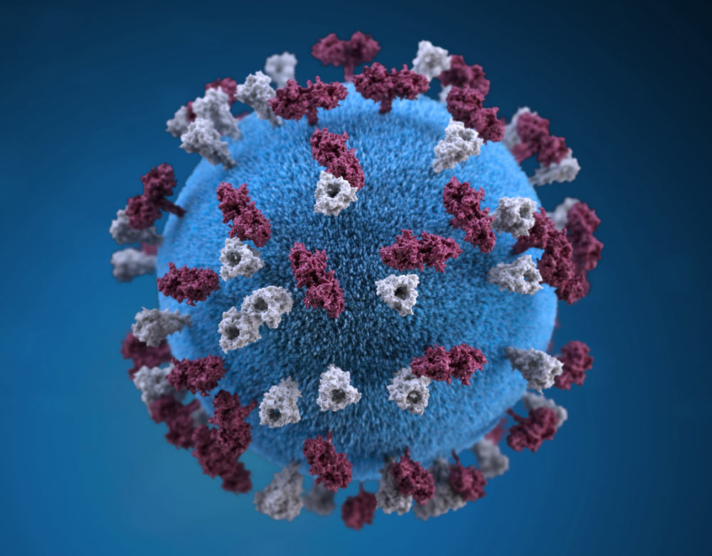 Corona Virus - Le novità dopo il discorso di Conte del 9 Marzo