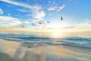 tra il dire e il fare c'è di mezzo il mare