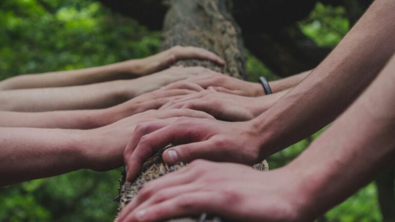 Mani unite su un tronco in un bosco, simbolo di collaborazione e responsabilità sociale d’impresa nelle donazioni a enti del Terzo Settore